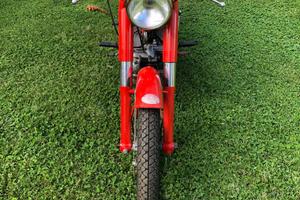 Aermacchi H.D. Ala Verde 5 marce 1966