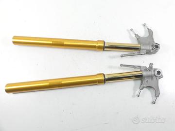 Forcelle OHLINS - HYPERMOTARD 939 SP / 950 SP