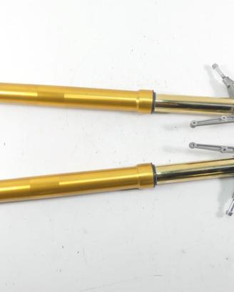 Forcelle OHLINS - HYPERMOTARD 939 SP / 950 SP