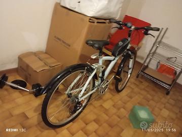 BICI a Padova 