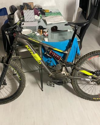Specialized Kenevo Expert 2021