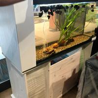 Acquari varie misure