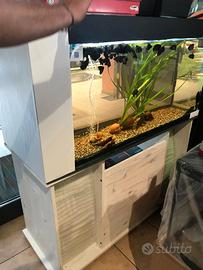 Acquari varie misure