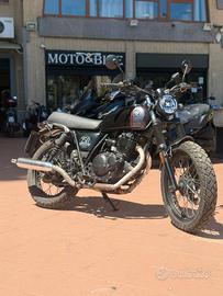 Brixton Cromwell 250 - 2024