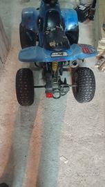 Altro Altro modello - 2010