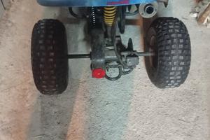 Altro Altro modello - 2010