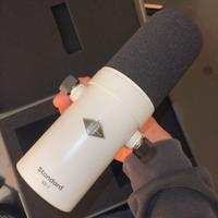 UINVERSAL AUDIO DS-1