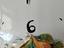 Immagine 5