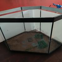 acquario angolare 220 litri 