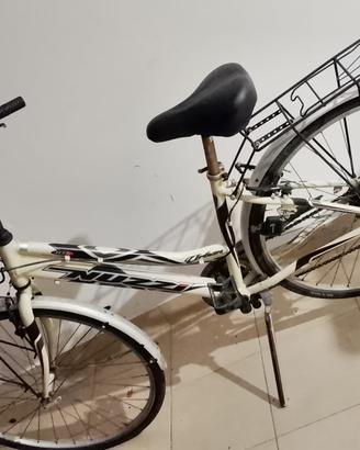 Bicicletta donna