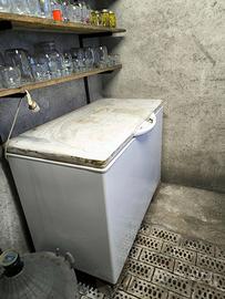 Congelatore Liebherr 300 litri