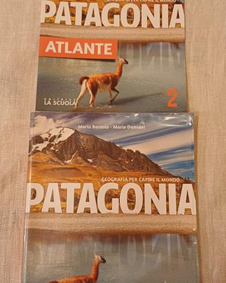 Patagonia 2