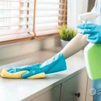 Pulizie domestiche