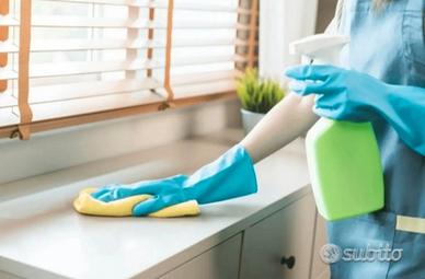 Pulizie domestiche