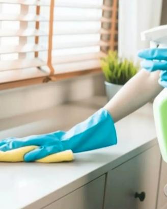 Pulizie domestiche