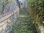 Immagine 26