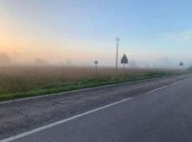 Immobile in asta di 12000 m² a Suzzara