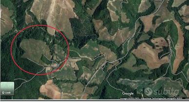 RGE 28/2023 Trib Urbino