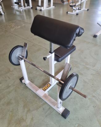 Panca Larry scott per bicipiti