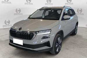 Škoda Karoq 2.0 TDI EVO SCR 115 CV DSG Executive