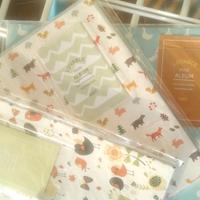 Album portafoto Polaroid Fuji Mini Film 84 tasche