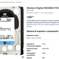 Hard Disk WD Enterprise 4TB WD Se NAS Server