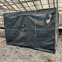 Tenda da coltivazione - germinazione