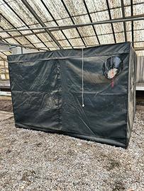 Tenda da coltivazione - germinazione
