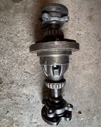 Differenziale alfa 75