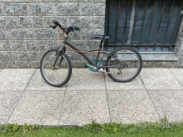 bicicletta 