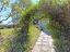 Immagine 26