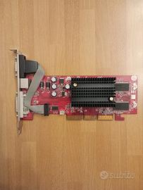 scheda grafica per Pc