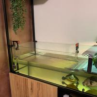 Teca in vetro 100x40