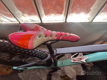 Bicicletta mountain bike