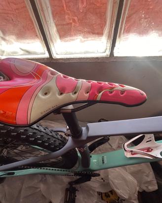 Bicicletta mountain bike