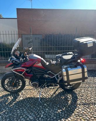 Triumph Tiger GT PRO 1200 - anno 2025 - 9000km