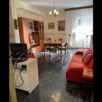 Camere Nei pressi Agraria e Medicina