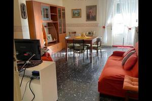 Camere Nei pressi Agraria e Medicina