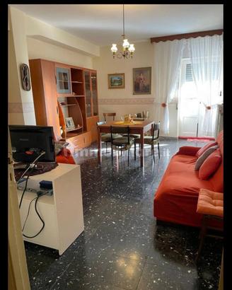 Camere Nei pressi Agraria e Medicina