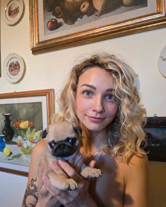 Cuccioli di Carlino con pedigree