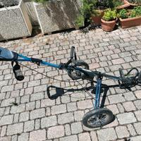 Carrello da golf