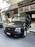 fiat-panda-1-2-easypower-classic