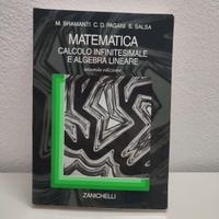 Matematica calcolo infinitesimale e algebra