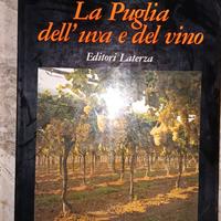 La Puglia dell'uva e del Vino