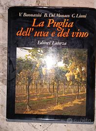 La Puglia dell'uva e del Vino