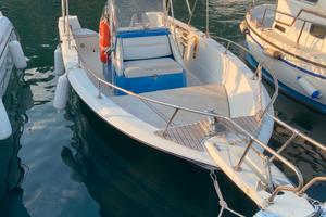 Bayliner 2103 Trophy Suzuki 140cv carrello