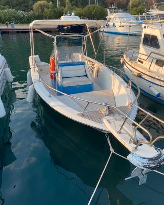 Bayliner 2103 Trophy Suzuki 140cv carrello