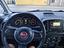 Immagine 11