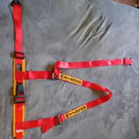 Cinture sportive Sablet 