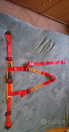 Cinture sportive Sablet 